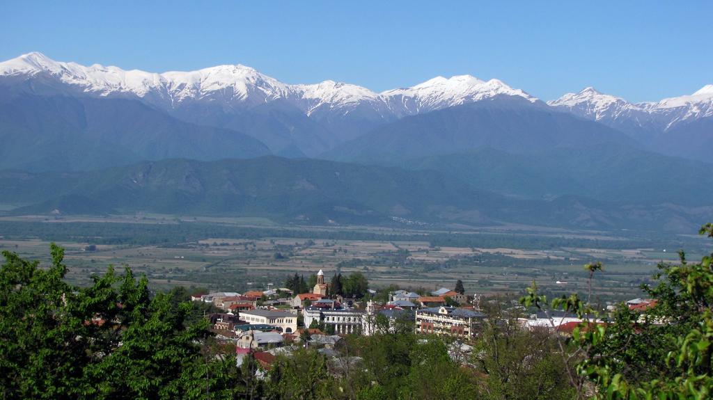 Omsi House Otel Telavi Dış mekan fotoğraf